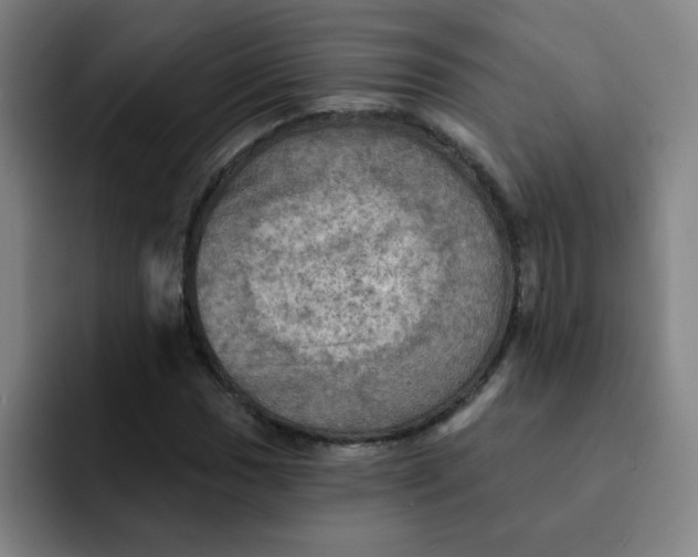 X0000091911017200709261712