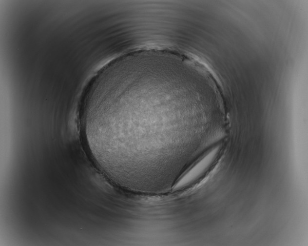 X0000091911018200709261712