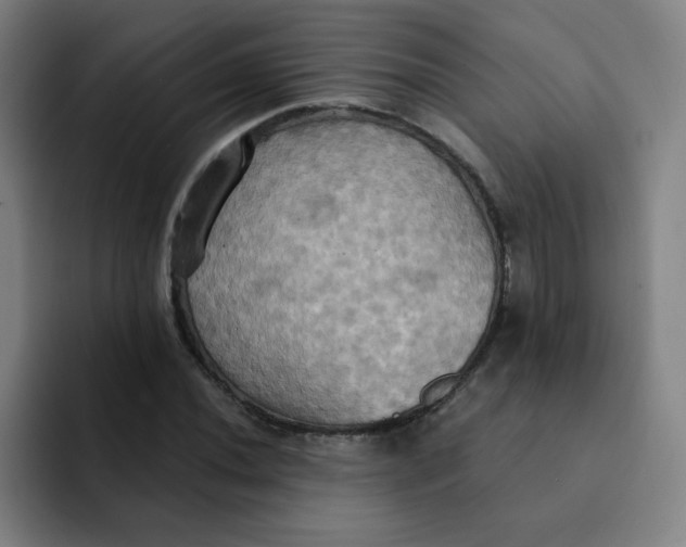 X0000091911020200709261712