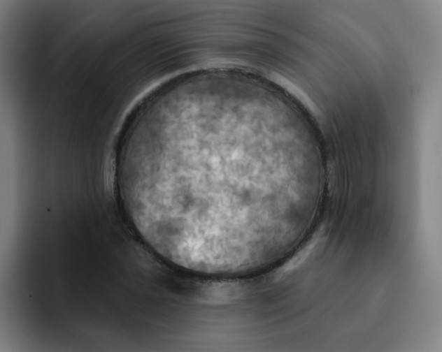 X0000091911021200709261712