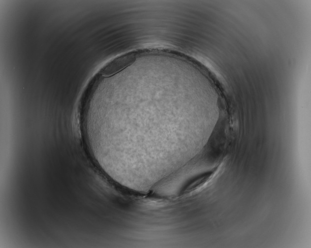 X0000091911022200709261712