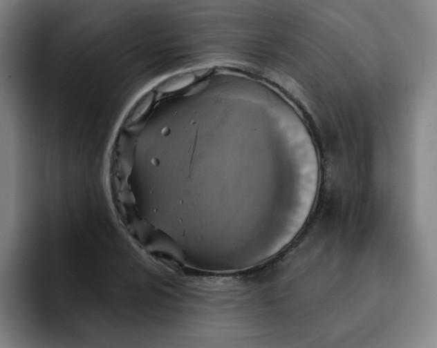 X0000091911024200709261712