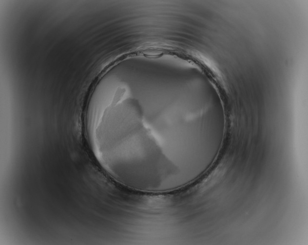 X0000091911025200709261712