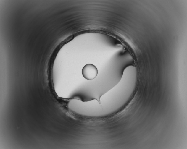 X0000091911026200709261712