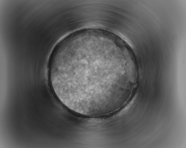 X0000091911029200709261712