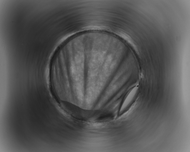 X0000091911030200709261712