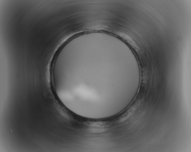 X0000091911031200709261712