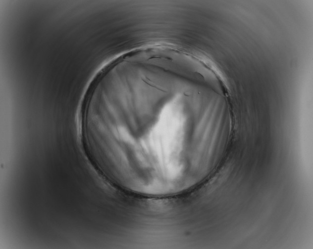 X0000091911032200709261712