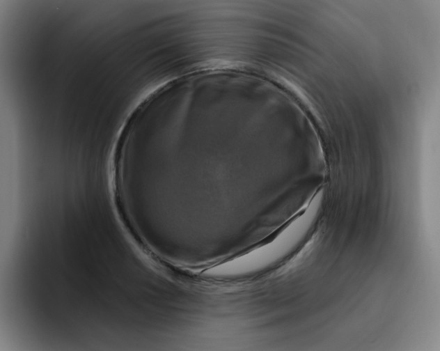 X0000091911034200709261712