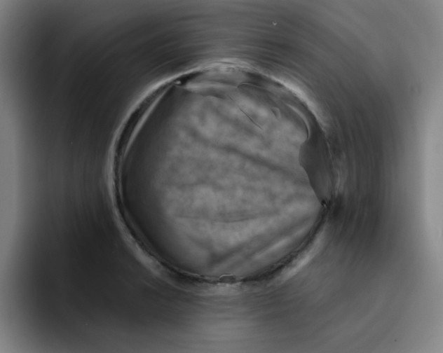 X0000091911038200709261712