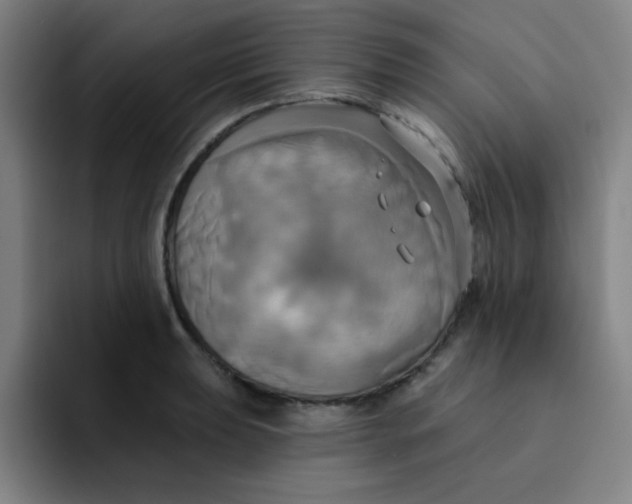 X0000091911039200709261712