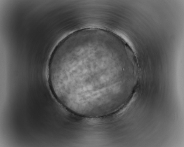 X0000091911040200709261712