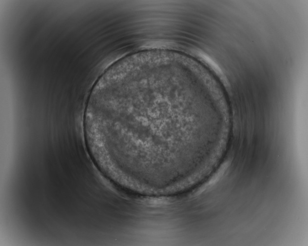 X0000091911041200709261712