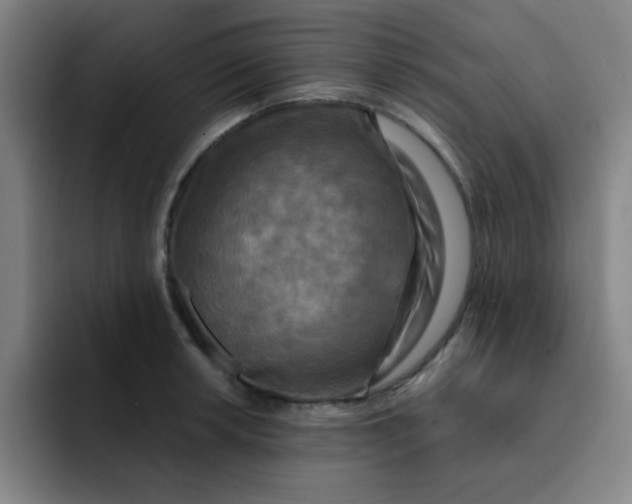 X0000091911042200709261712