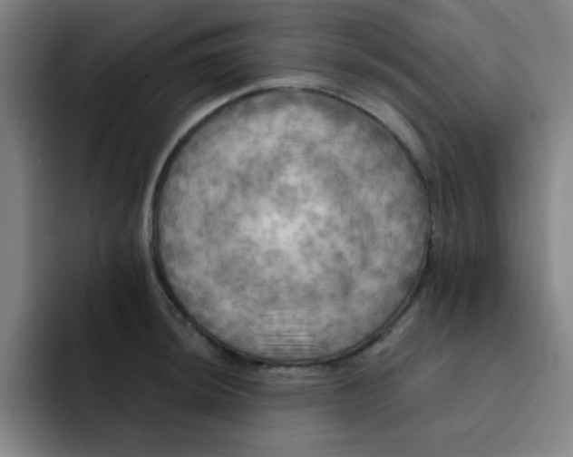 X0000091911044200709261712