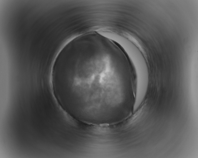 X0000091911050200709261712