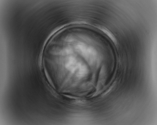 X0000091911052200709261712