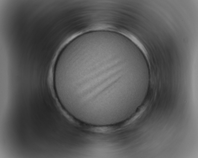 X0000091911053200709261712