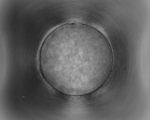 X0000091911056200709261712