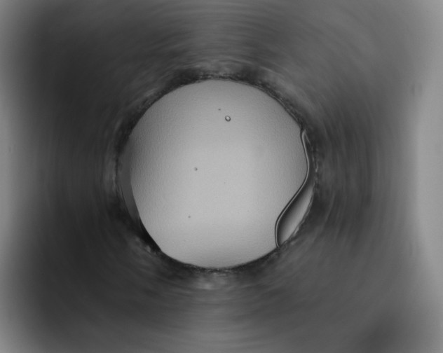 X0000091911058200709261712