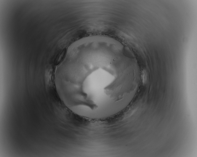 X0000091911059200709261712