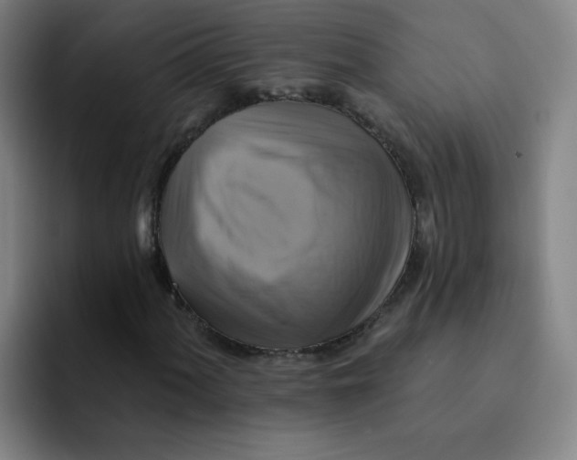 X0000091911060200709261711