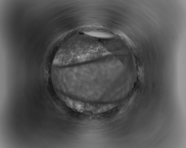 X0000091911064200709261711