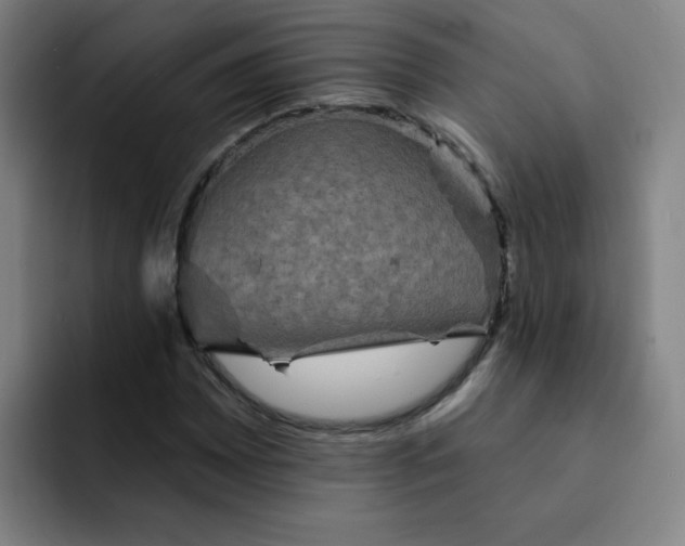 X0000091911065200709261711