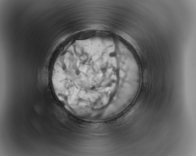 X0000091911067200709261711