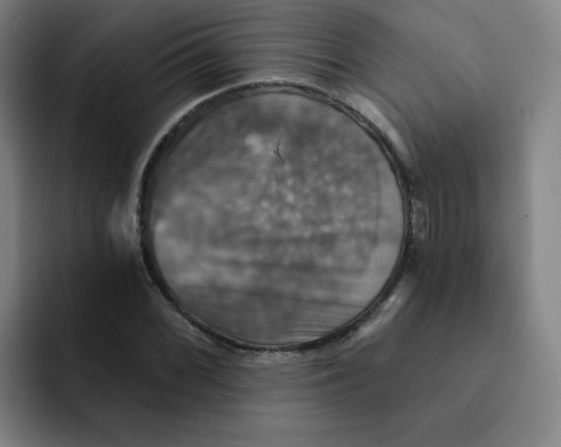 X0000091911068200709261711