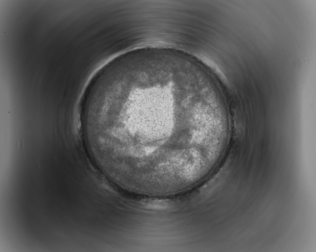 X0000091911070200709261711