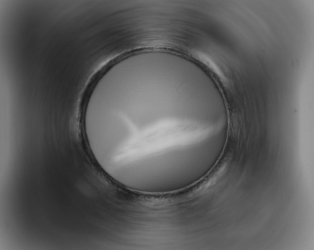 X0000091911071200709261711