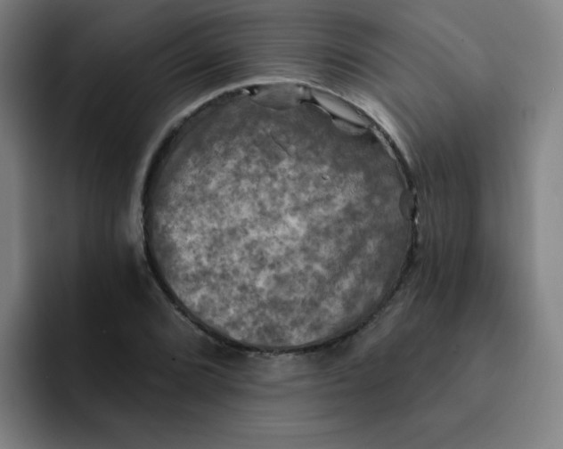 X0000091911072200709261711