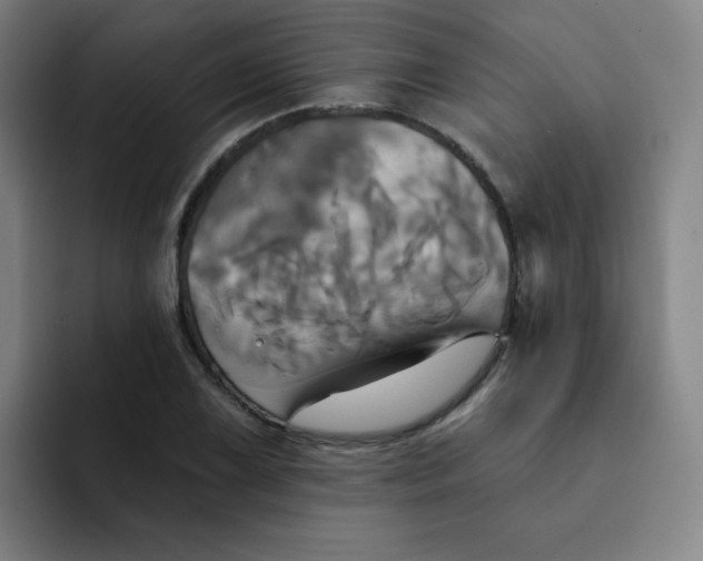 X0000091911075200709261711