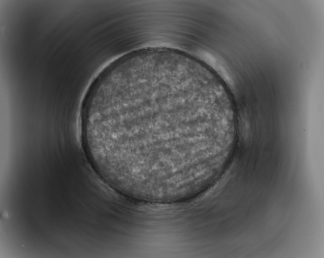 X0000091911076200709261711