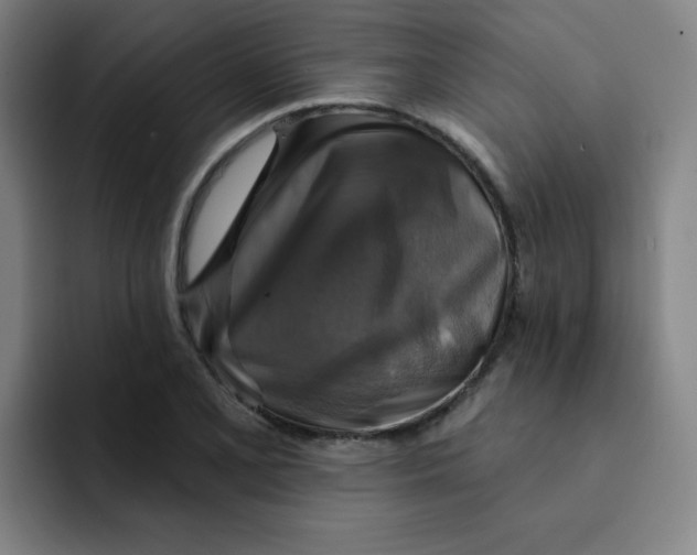 X0000091911077200709261711