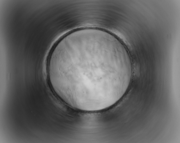 X0000091911078200709261711