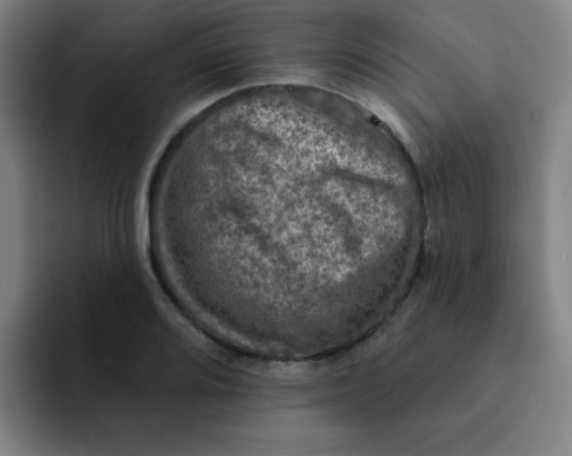 X0000091911080200709261711