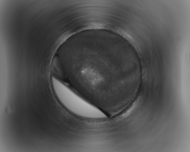 X0000091911081200709261711