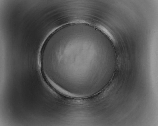 X0000091911084200709261711