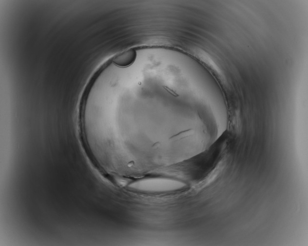 X0000091911087200709261711