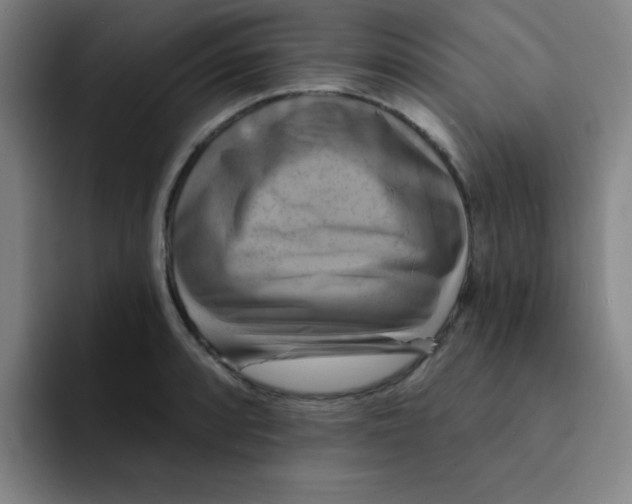 X0000091911088200709261711