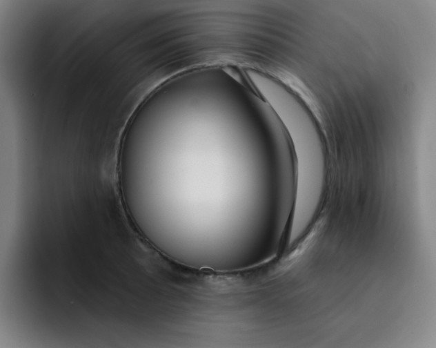 X0000091911089200709261711