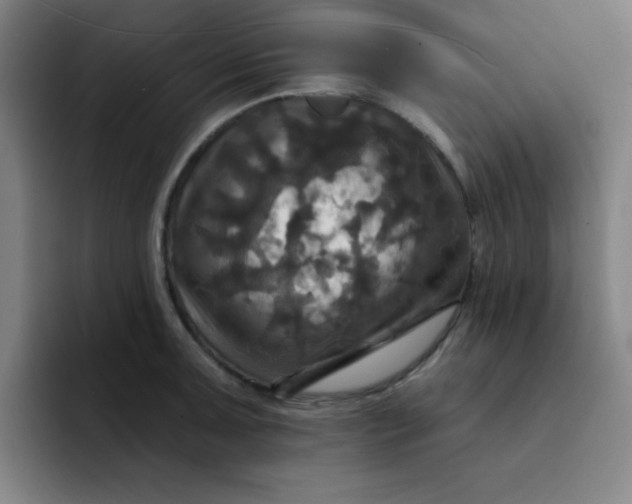 X0000091911091200709261711