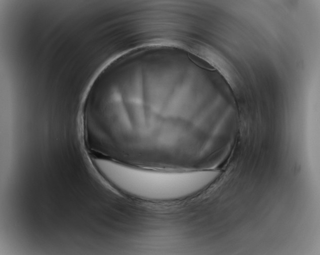 X0000091911092200709261711