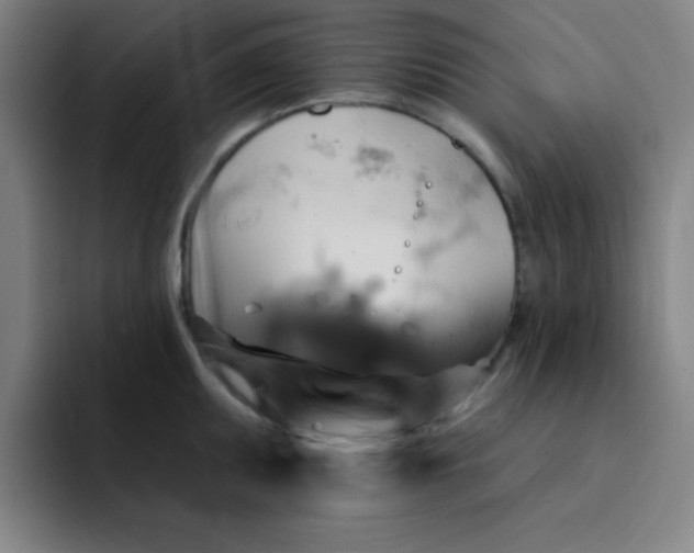 X0000091911095200709261711