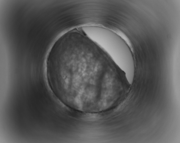 X0000091911096200709261711