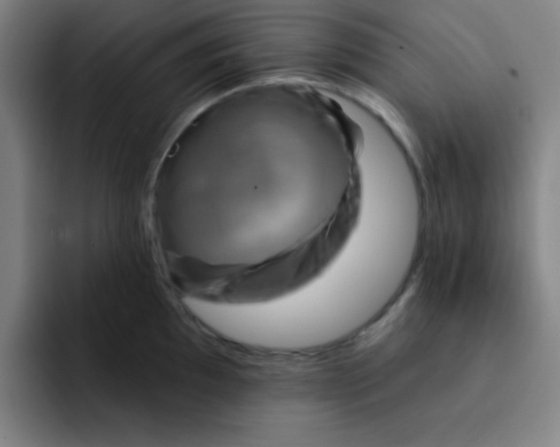 X0000091911097200709261711