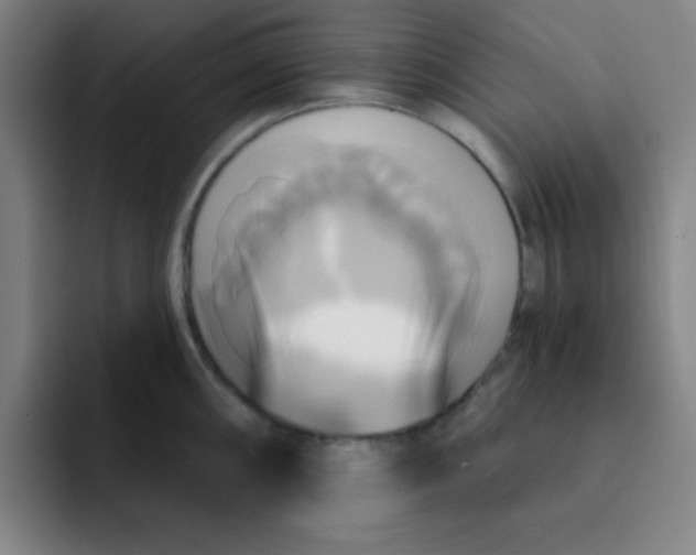 X0000091911098200709261711