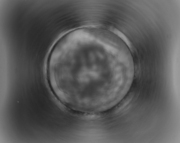 X0000091911099200709261711